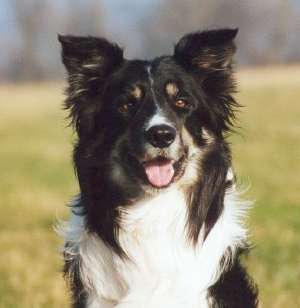 Dusty-Kopf 09-01.jpg